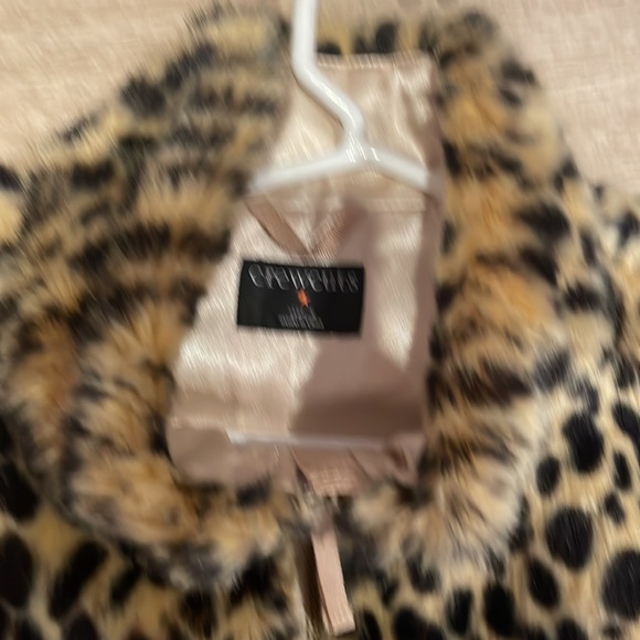 Crewcuts - Picture 2 of 3